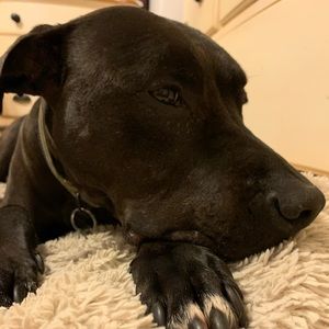 Meet your Posher, Barbra